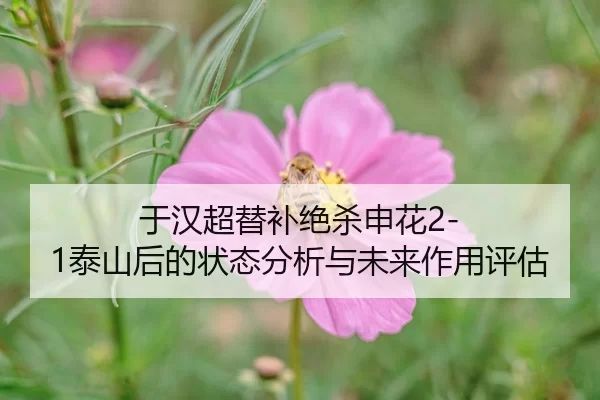 yu-han-chao-ti-bu-jue-sha-shen-hua-tai-shan-hou-de-zhuang-tai-fen-xi-yu-wei-lai-zuo-yong-ping-gu-2-750.jpg